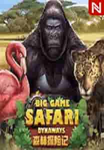 Big Game Safari